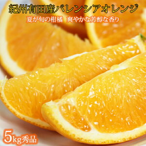 バレンシアオレンジ｜ふるさと納税の返礼品で人気のバレンシアオレンジは？