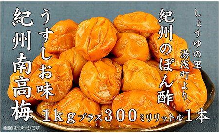 【ふるさと納税】紀州南高梅うすしお味1kgと紀州のぽんず1本