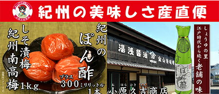 【ふるさと納税】【A級品】紀州南高梅しそ漬梅干1kgと紀州のぽんず1本　美浜町※離島への配送不可