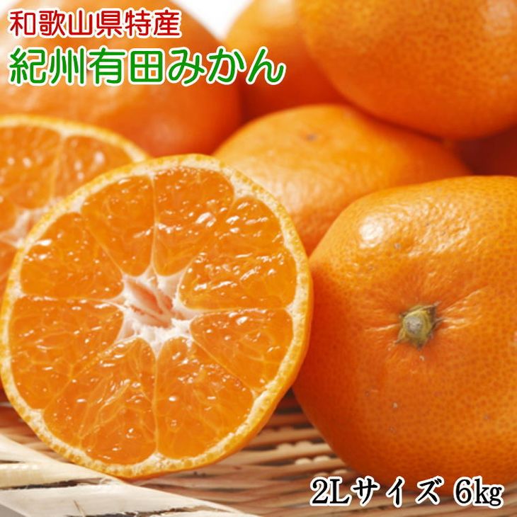 【ふるさと納税】[秀品]和歌山有田みかん6kg（2Lサイズ）※2024年11月中旬～2025年1月中旬頃に順次発送予定 ふるさと納税 みかんのサムネイル