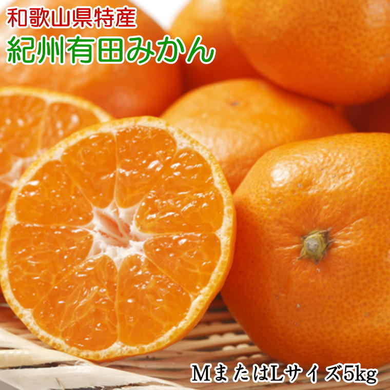 【ふるさと納税】[秀品]和歌山有田みかん5kg(MサイズまたはLサイズのいずれかをお届け) ※2025年11月中旬～2026年1月中旬頃に順次発送予定 ふるさと納税 ミカン
