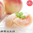 【ふるさと納税】〈先行予約受付〉フルーツ王国 和歌山の桃 約4kg| もも モモ 桃 国産 フルーツ 先行予約 果物 果実 お取り寄せ ギフト デザート スイー...