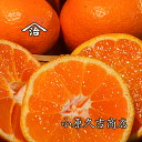 【ふるさと納税】これぞ!有田みかん約9キロ【秀品】(和歌山県...