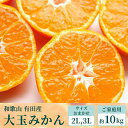 【ご家庭用】和歌山有田みかん約10kg(2L、3Lサイズ)◇※北海道・沖縄・離島への配送不可※2024年10月中旬～2025年1月下旬頃に順次発送予定