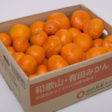 【ふるさと納税】濃厚★家庭用★完熟ゆら早生みかん6kg+195g(傷み補償分)【訳あり・わけあり】【菊みかん入り】※2021年11月上旬〜12月下旬頃に順次発送予定※北海道、沖縄配送不可