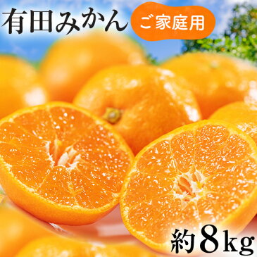 【ふるさと納税】【先行予約】【2022年11月中旬~12月中旬発送】【数量限定】濃厚有田みかん(ご家庭用)たっぷり8kg※沖縄地域へのお届け不可