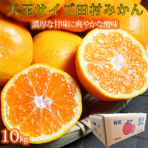 【ふるさと納税】高級ブランド田村みかん　10kg　大玉サイズ※2025年11月下旬〜2026年1月下旬頃に順次発送予定