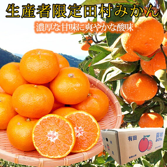 【ふるさと納税】高級ブランド田村みかん 10kg◇ ※2025年11月下旬〜2026年1月下旬頃に順次発送予定 ふるさと納税 ミカン