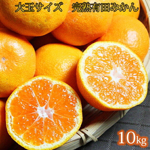 【ふるさと納税】大玉サイズ 完熟有田みかん 10kg※2025年11月下旬〜2026年1月下旬頃に順次発送予定