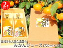【ふるさと納税】田村みかん蜂久農園のみかんがっつりしぼったでぇ みかんジュース(720ml×2本)