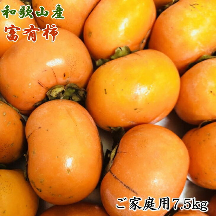 【ふるさと納税】和歌山産富有柿ご家庭用約7.5kg※2024年11月上旬～12月上旬頃に順次発送予定※離島への配送不可