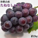 【ふるさと納税】【厳選 産直】和歌山県産たねなしピオーネ約2kg◇※2024年8月中旬～9月下旬頃に順次発送予定※北海道 沖縄 離島への配送不可