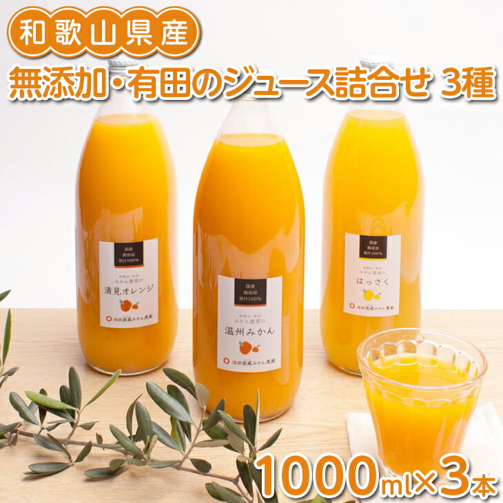 【ふるさと納税】無添加・有田のジュース詰合せ1000ml×3