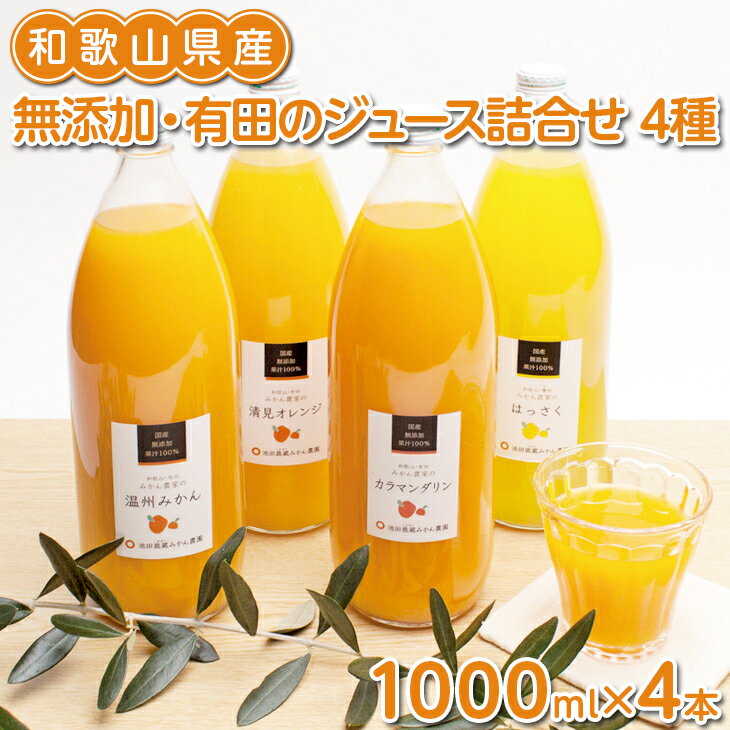 【ふるさと納税】無添加・有田のジュース詰合せ1000ml×4
