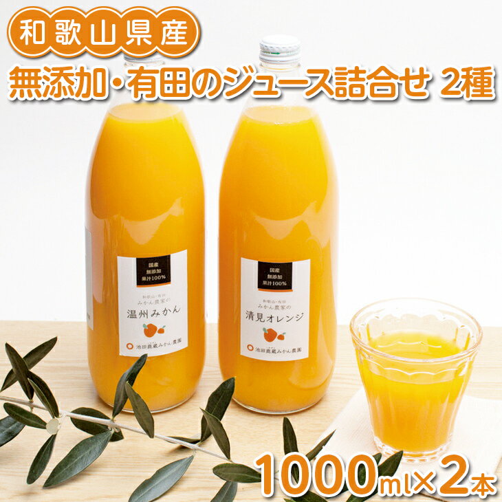 【ふるさと納税】無添加・有田のジュース詰合せ1000ml×2