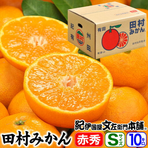 【ふるさと納税】田村みかん/特選ギフト品10kg【Sサイズ】赤秀|湯浅町田村地区産 産地直送 最高級プレミアムブランドの田村ミカン 紀伊国屋文左衛門本舗※2025年11月下旬~2026年1月中旬頃に順次発送予定 【ふるさと納税】田村みかん/特選ギフト品10kg【Sサイズ】赤秀|湯浅町田村地区産 産地直送 最高級プレミアムブランドの田村ミカン 紀伊国屋文左衛門本舗※2025年11月下旬~2026年1月中旬頃に順次発送予定
