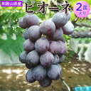 【ふるさと納税】和歌山県産 ピオーネ 2房入り | 産地直送 ブドウ ぶどう 果物 フルーツ ※離島への配送不可 ※2025年8月下旬~9月下旬頃に順次発送予定
