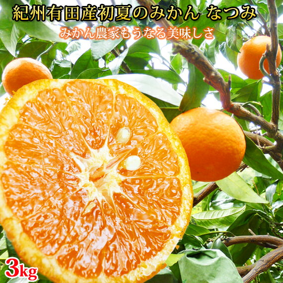【ふるさと納税】初夏のみかん なつみ3kg | 果物 くだもの 柑橘 みかん 蜜柑 ミカン フルーツ 和歌山 産地直送 ふるさと納税 ミカン ※着日指定不可※2026年4月中旬頃〜2026年4月下旬頃に順次発送予定