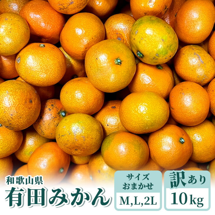 【ふるさと納税】『訳あり』和歌山有田みかん約10kg(MかLか2Lサイズいずれかおまかせ) | ミカン 柑橘 フルーツ※2022年10月下旬頃～2023年1月中旬頃に順次発送予定のサムネイル