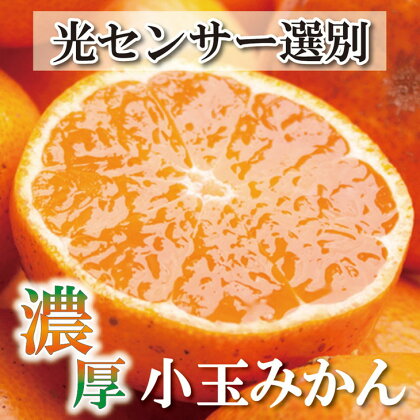 ＜2024年11月より発送＞家庭用 小玉な有田みかん5kg+150g（傷み補償分）【わけあり・訳あり】【光センサー選果】　※北海道・沖縄・離島への配送不可　※2024年11月中旬～12月下旬頃に順次発送予定