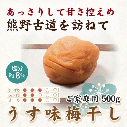 紀州南高梅 うす味梅 500g ご家庭用 | 国産 ふるさと納税 梅干※北海道・沖縄・離島への配送不可