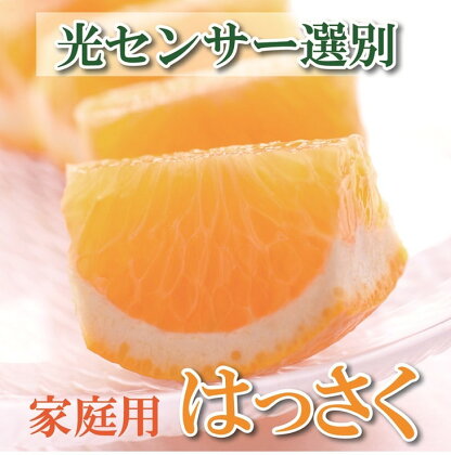 ＜4月より発送＞家庭用 樹上完熟はっさく7.5kg+225g（傷み補償分）有田の春みかん・五月八朔・さつきはっさく・木生りはっさく・きなりはっさく【光センサー選別】訳あり　※北海道・沖縄・離島への配送不可　※2024年4月上旬～5月下旬頃に順次発送予定