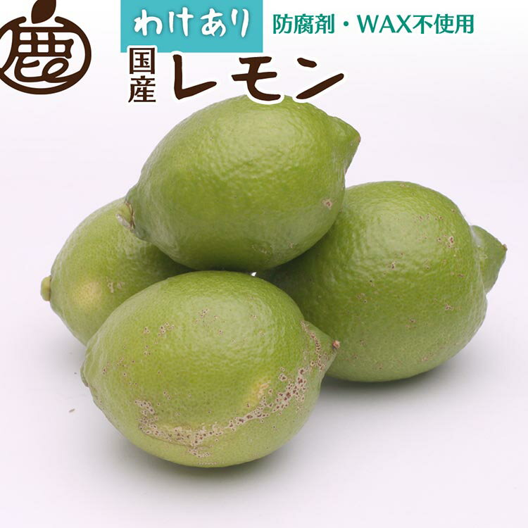 【ふるさと納税】<9月より発送>家庭用 黒潮レモン5kg+150g(傷み補償分)【和歌山有田産】【防腐剤・WAX不使用、安心の国産レモン】【わけあり・訳ありレモン】※北海道・沖縄・離島への配送不可※2024年9月上旬~2025年4月下旬頃に順次発送予定