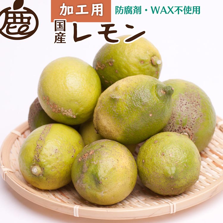 [選べる内容量][9月より発送]加工用 レモン[和歌山有田産][防腐剤・WAX不使用、安心の国産レモン][わけあり・訳ありレモン] ※北海道・沖縄・離島への配送不可 ※2025年9月中旬〜2026年4月下旬頃に順次発送予定