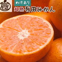 ＜2024年11月より発送＞家庭用 超熟有田みかん7.5kg+225g（傷み補償分）※北海道・沖縄・離島への配送不可※2024年11月上旬～12月下旬頃に順次発送予定