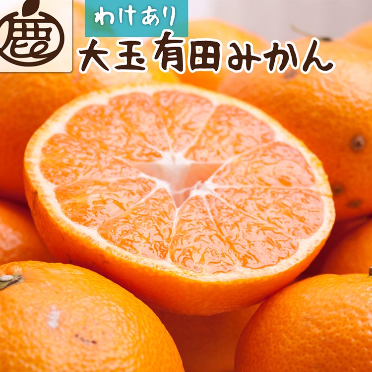 【ふるさと納税】＜2024年11月より発送＞家庭用 大きな有田みかん10kg 300g（傷み補償分）【わけあり 訳あり】【光センサー選果】※北海道 沖縄 離島への配送不可※2024年11月中旬～2025年1月下旬頃に順次発送予定