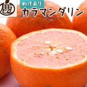【ふるさと納税】<4月より発送>家庭用 カラマンダリン4kg+120g(傷み補償分)◇【南津海・なつみ】【希少な春柑橘】【わけあり・訳あり】【みかんと同じように...
