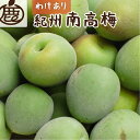 【ふるさと納税】<6月発送> 選べる内容量 家庭用 紀州南高梅 (青梅) 【傷み補償あり】〇 │ 朝摘み とれたて直送便 梅干し 梅酒 梅ジュース 和歌山産 わ...