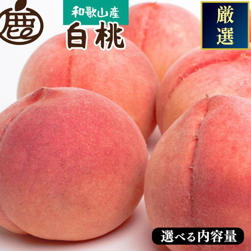 【ふるさと納税】【選べる内容量!】和歌山の厳選白桃 約0.75kg・約1.5kg・約2kg・4kg【化粧箱入り】 | 桃 白鳳 清水白桃 川中島 もも はくとう ※北海道・沖縄・離島への配送不可 ※2025年7月上旬~7月下旬頃に順次発送予定 【ふるさと納税】【選べる内容量!】和歌山の厳選白桃 約0.75kg・約1.5kg・約2kg・4kg【化粧箱入り】 | 桃 白鳳 清水白桃 川中島 もも はくとう ※北海道・沖縄・離島への配送不可 ※2025年7月上旬~7月下旬頃に順次発送予定