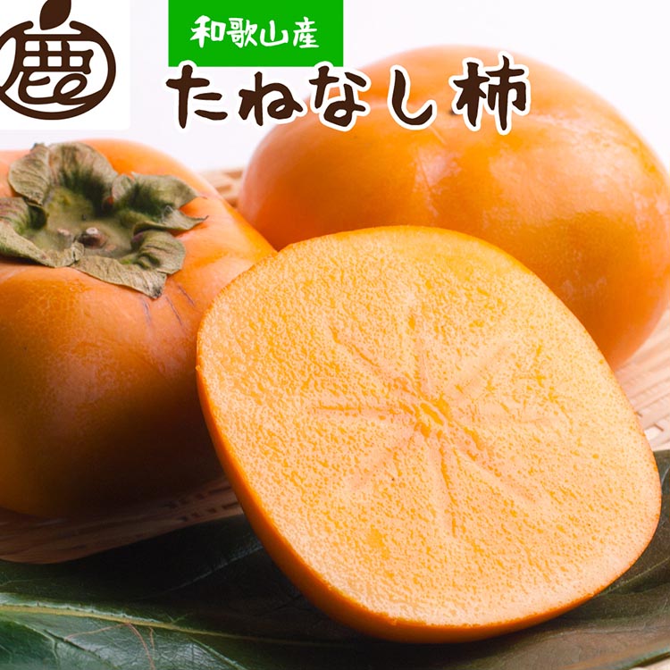 【ふるさと納税】<10月より発送>厳選たねなし柿5kg【刀根早生・平核無柿(ひらたねなしかき)】|カキ・種無柿・種無し柿・種なし柿・無核柿 ※北海道・沖縄・離島への配送不可 ※2025年10月上旬~11月中旬頃に順次発送予定