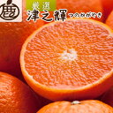 【ふるさと納税】<2月より発送>厳選 津之輝 選べる内容量|つのかがやき【光センサー選別】| 柑橘 フルーツ 果物 濃厚 春 旬 和歌山 先行予約 選べる 国産 産地直送 春柑橘 美浜町 ※北海道・沖縄・離島への配送不可 ※2026年2月上旬~4月中旬頃に順次発送予定