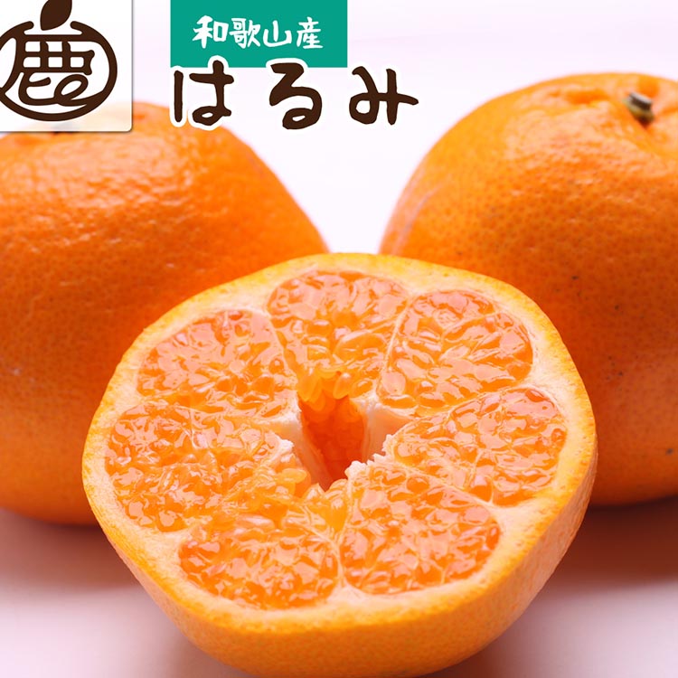 [2月より発送]厳選 はるみ 選べる内容量◇|デコポンの姉妹品種・新食感春みかん[光センサー選別] ※北海道・沖縄・離島への配送不可 ※2026年2月上旬〜3月下旬頃に順次発送予定