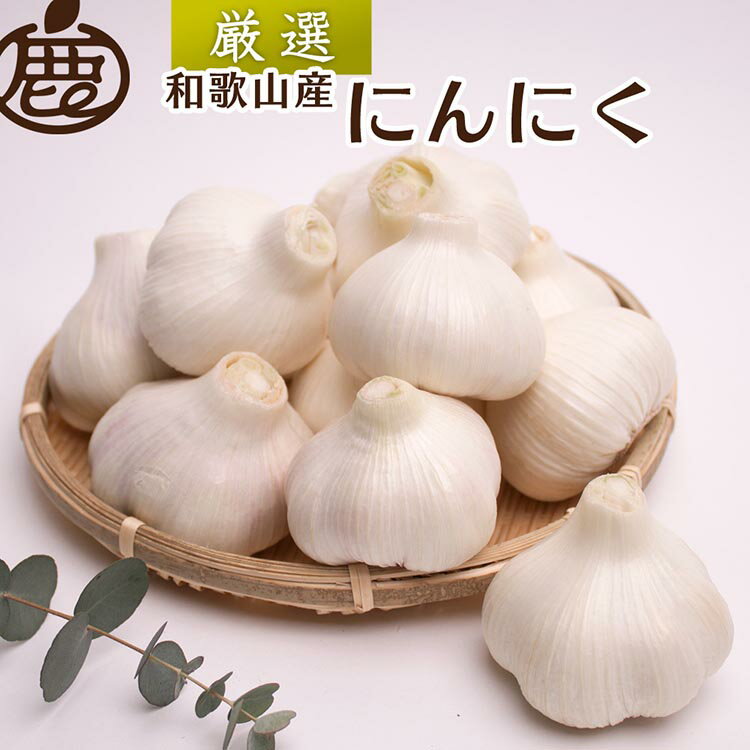 [5月より発送]厳選 にんにく 選べる内容量 500g・1kg・2kg[生にんにく][国産]