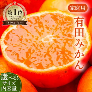 【ふるさと納税】【選べる サイズ・内容量・発送時期】家庭用 極早生/完熟 有田みかん【数量限定】◇|みかん 訳あり 温州みかん 和歌山県産 訳あり わけあり 柑橘 果物 フルーツ 糖度 甘い 濃厚 ジューシー 光センサー ※北海道・沖縄・離島への配送不可