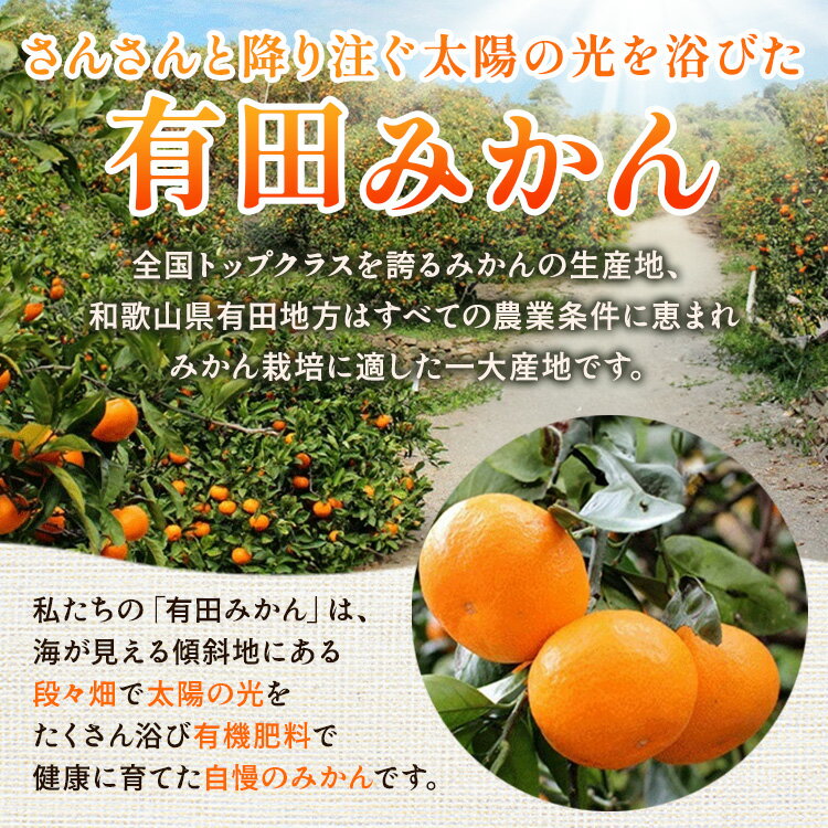 【ふるさと納税】【選べる 内容量・発送時期！】家庭用 蔵出しみかん【有田の蔵出しみかん】【光センサー選果】※北海道・沖縄・離島への配送不可 ※2026年1月中旬～2月下旬頃に順次発送予定