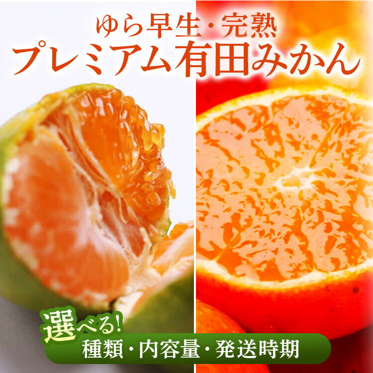 [選べる 種類・内容量・発送時期] ゆら早生/完熟 プレミアム有田みかん | 柑橘 果物 フルーツ 糖度 甘い 濃厚 コク ジューシー 光センサー ※北海道・沖縄・離島への配送不可