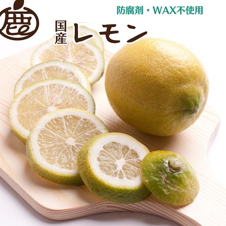 [選べる内容量][9月より発送]レモン[和歌山有田産][防腐剤・WAX不使用、安心の国産レモン] ※北海道・沖縄・離島への配送不可 ※2025年9月中旬〜2026年4月下旬頃に順次発送予定