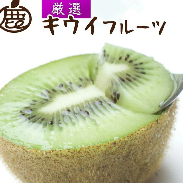 [2025年11月より発送]選べる内容量 厳選 キウイフルーツ◇ ※北海道・沖縄・離島への配送不可 ※2025年11月中旬〜2026年4月下旬頃に順次発送予定