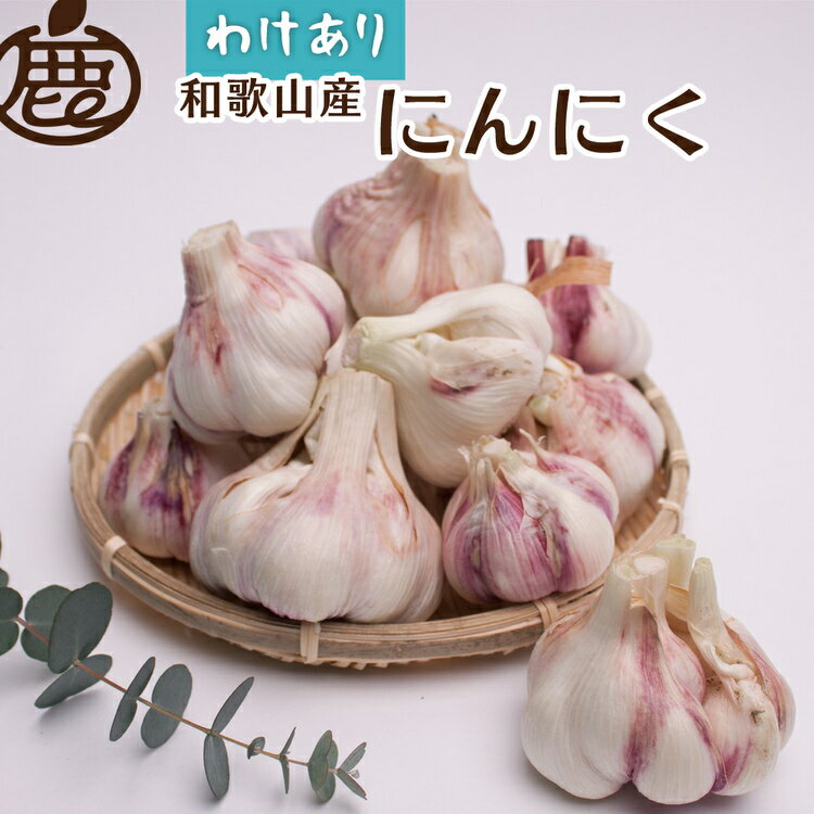 [5月より発送] 家庭用 生にんにく 選べる内容量 500g・1kg・2kg