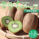 【ふるさと納税】和歌山産 キウイフルーツ 約1.2kg 秀品 ※2026年1月下旬〜3月中旬頃に順次発送予定 ※北海道・沖縄・離島への配送不可