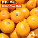 【ふるさと納税】和歌山県産 有田みかん 約4kg 秀品 ※2025年10月中旬~2026年1月下旬頃に順次発送予定 ※北海道・沖縄・離島への配送不可(4)