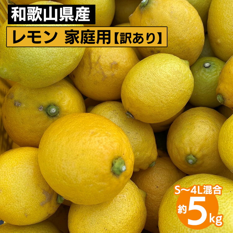 【ふるさと納税】和歌山産 レモン 家庭用 5kg S〜4L混合 訳あり ※2026年1月中旬〜3月下旬頃に順次発送予定 ※北海道・沖縄・離島への配送不可