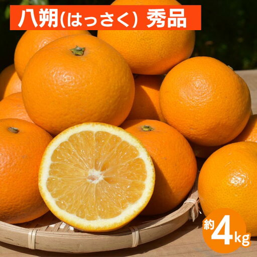 【ふるさと納税】和歌山県産 八朔 4kg 秀品 ※2026年1月上旬~3月下旬頃に順次発送予定 【ふるさと納税】和歌山県産 八朔 4kg 秀品 ※2026年1月上旬~3月下旬頃に順次発送予定