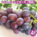 【ふるさと納税】◆先行予約◆ 和歌山県産 ピオーネ 4房入り〈秀品〉 ※2025年8月下旬〜9月上旬頃に順次発送予定 ※離島への配送不可