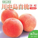 【ふるさと納税】〈先行予約受付〉和歌山県産 川中島白桃 約3kg(8～13玉入)≪青秀/ご家庭用/訳 ...