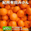 【ふるさと納税】紀州有田みかん 約10kg サイズおまかせ いずれか(L・М・S・2S) ※離島への配送不可 ※2025年11月下旬~2026年1月中旬頃順次発送予定